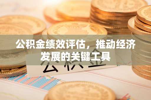 肥乡公积金绩效评估，推动经济发展的关键工具